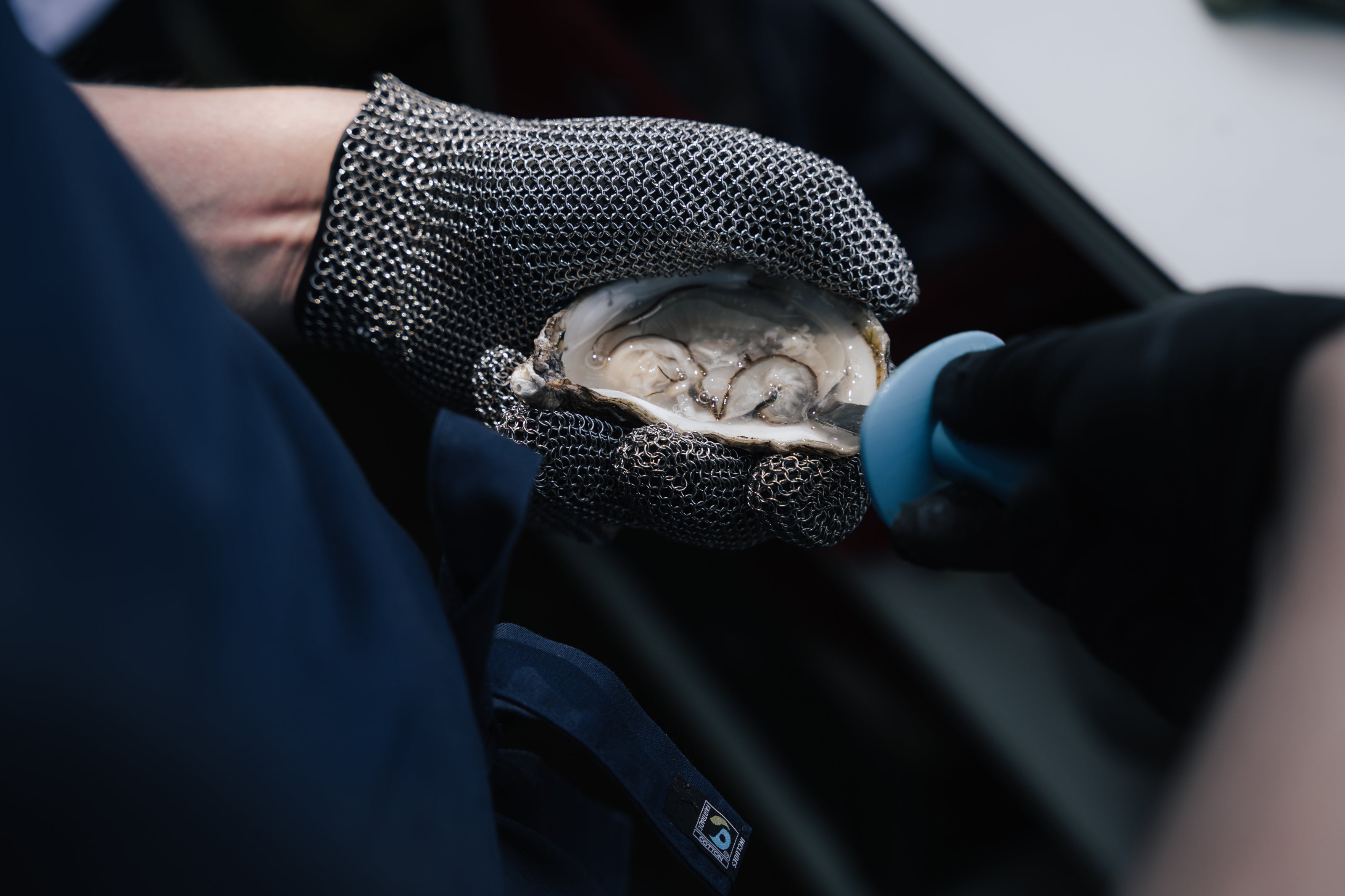 Vorbereitung in der Küche der Namine Witt auf Föhr, frische Auster wird geöffnet